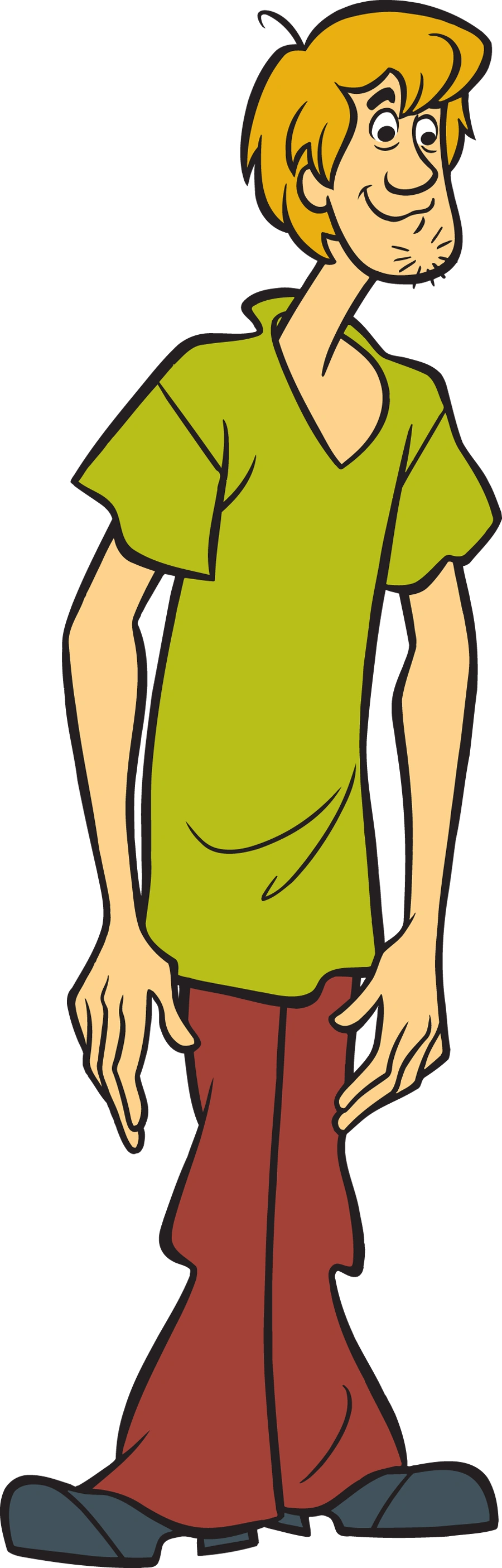 shaggy